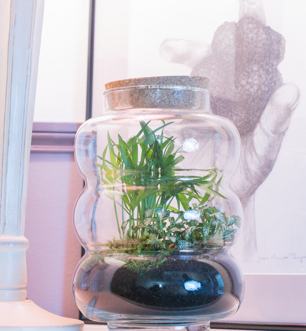 Terrarium