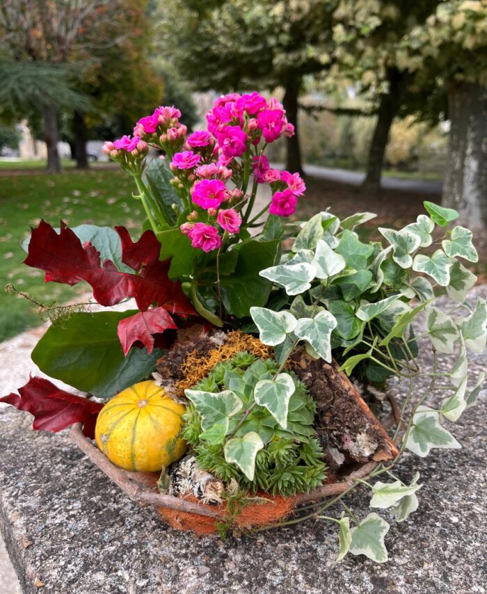 Jardin automnal