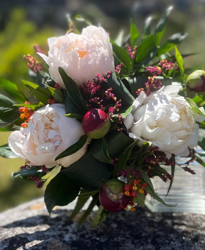 Bouquet de Pivoines